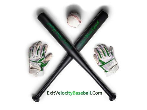 Exit Velocity Training Bat